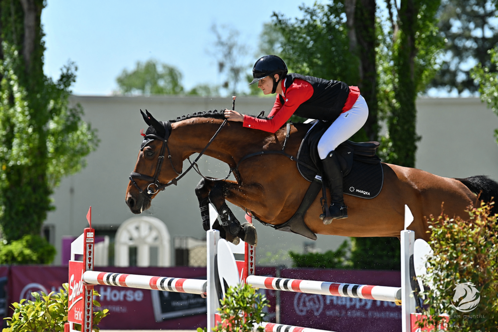 Springreiter im Parcours der Pferdesporttage Galgenen